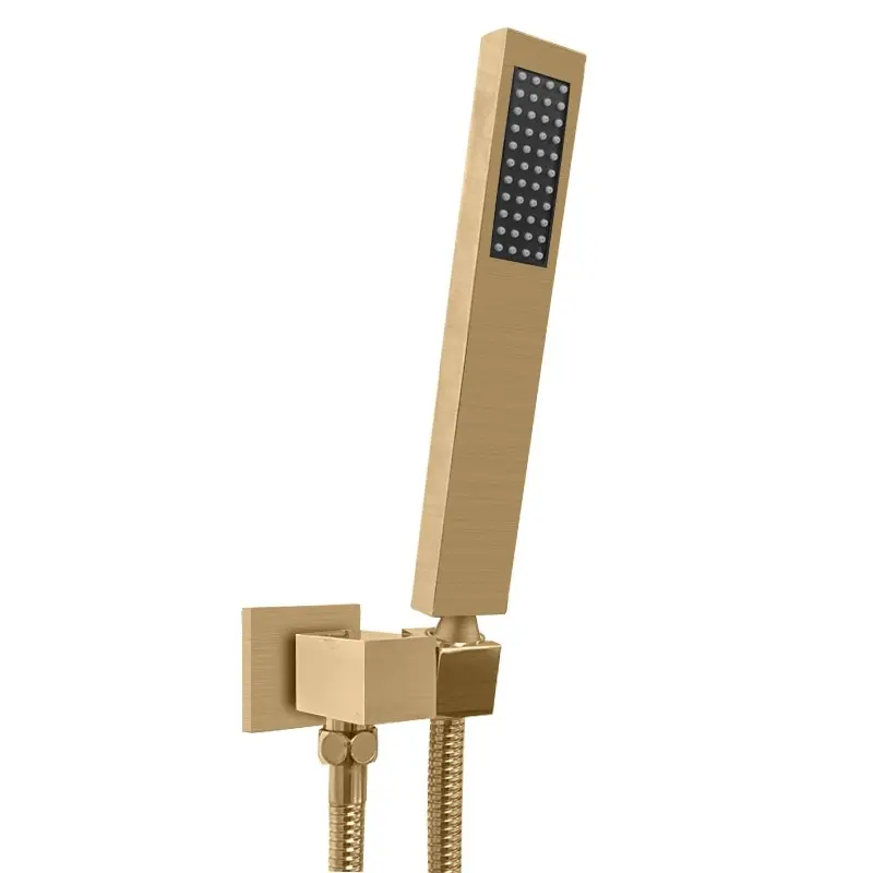 Aquaperla Shower Rail with Handheld Shower