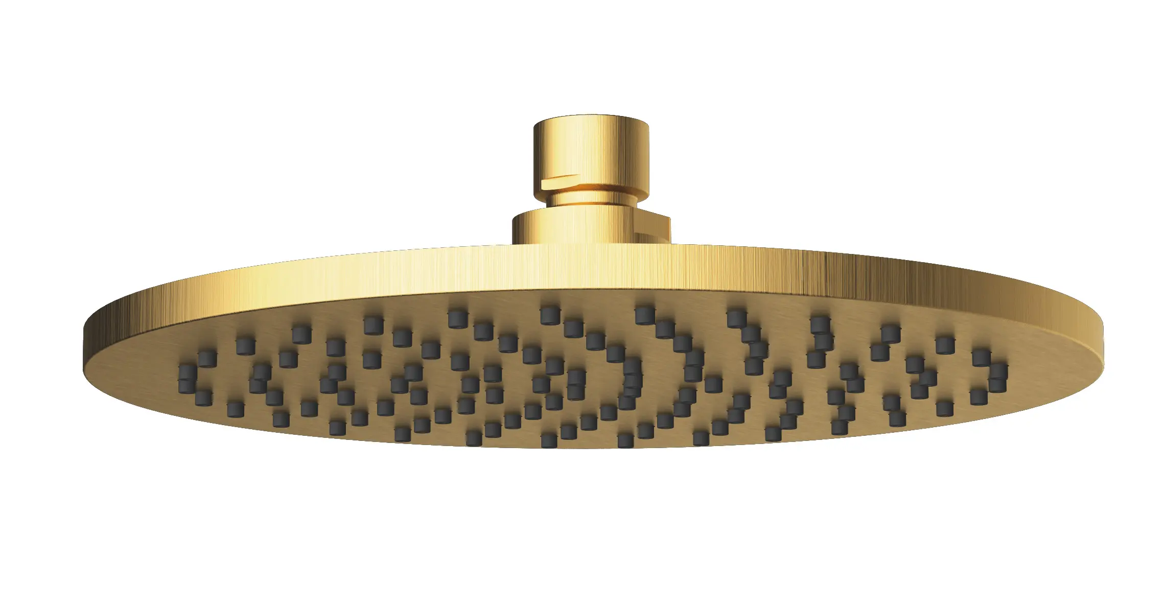 Cora Shower Head