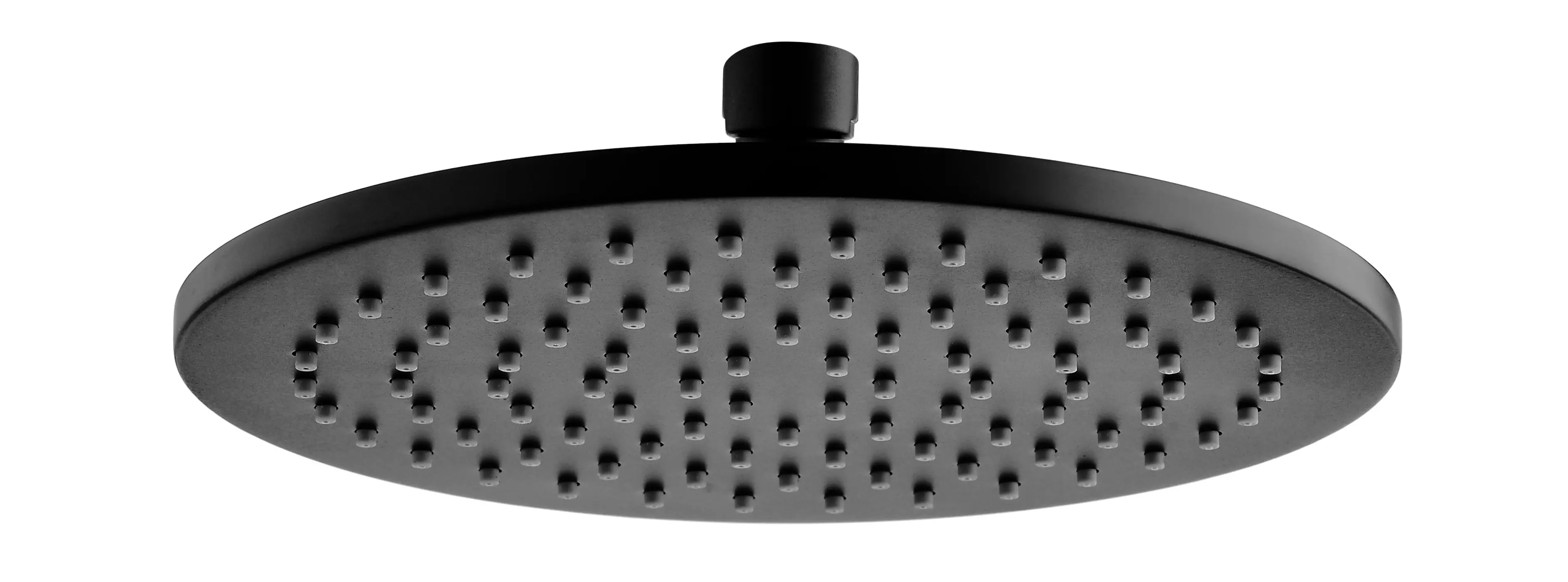 Cora Shower Head