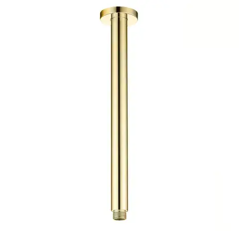 Vetto 300mm Ceiling Shower Arm Round
