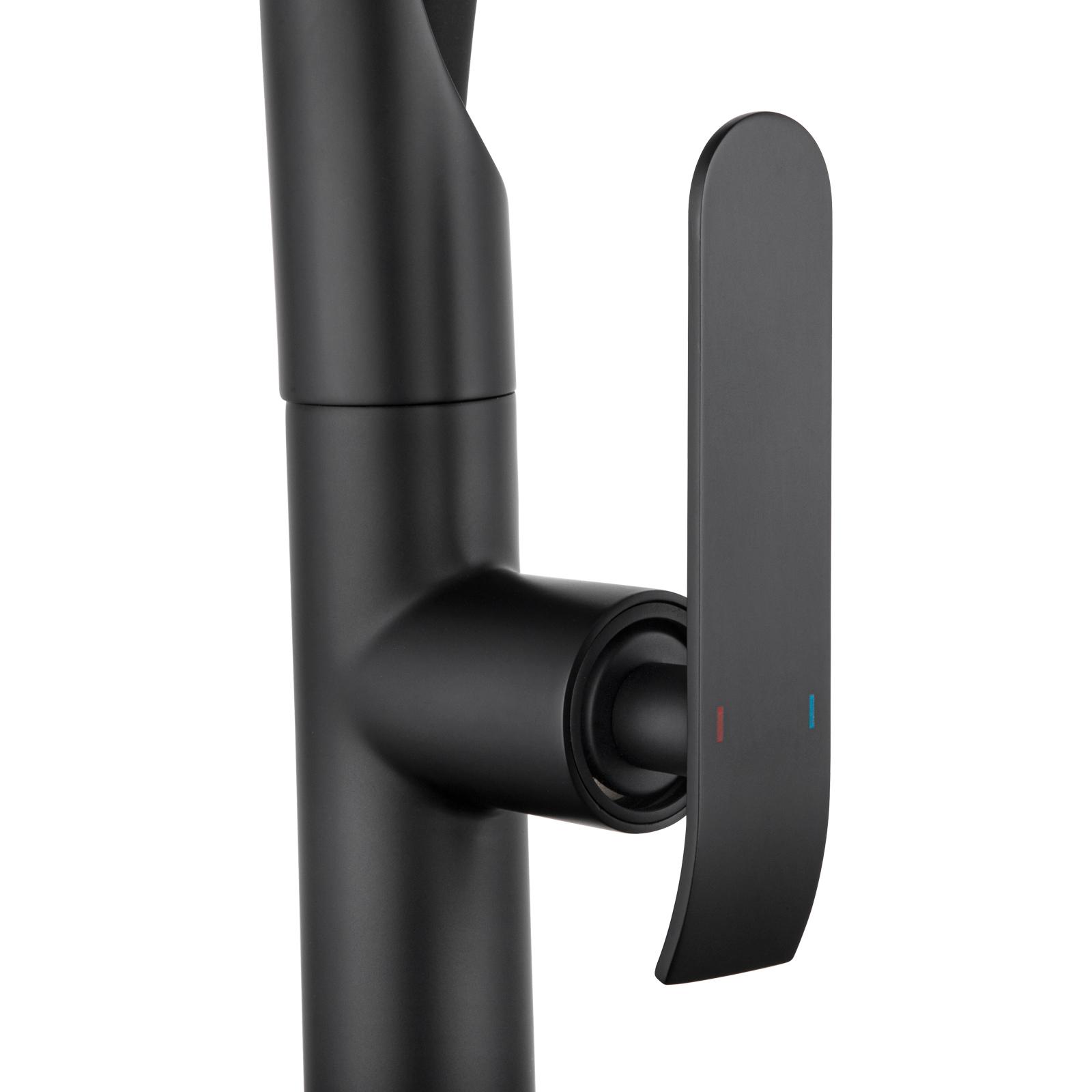 Aquaperla Black Pull Out Kitchen Mixer