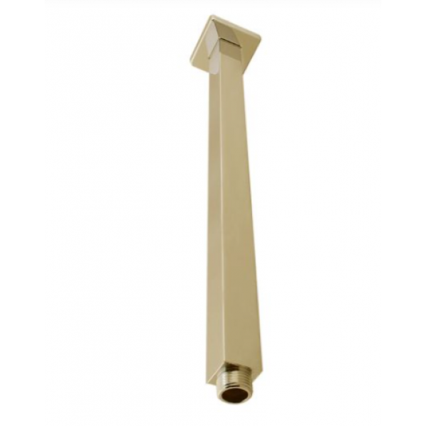 RUSHY Series Brushed Brass Shower Arm (300 mm Wall Mounted)