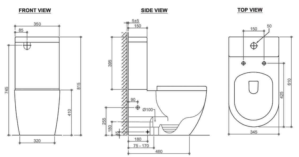 Deluso Back to Wall Rimless Toilet