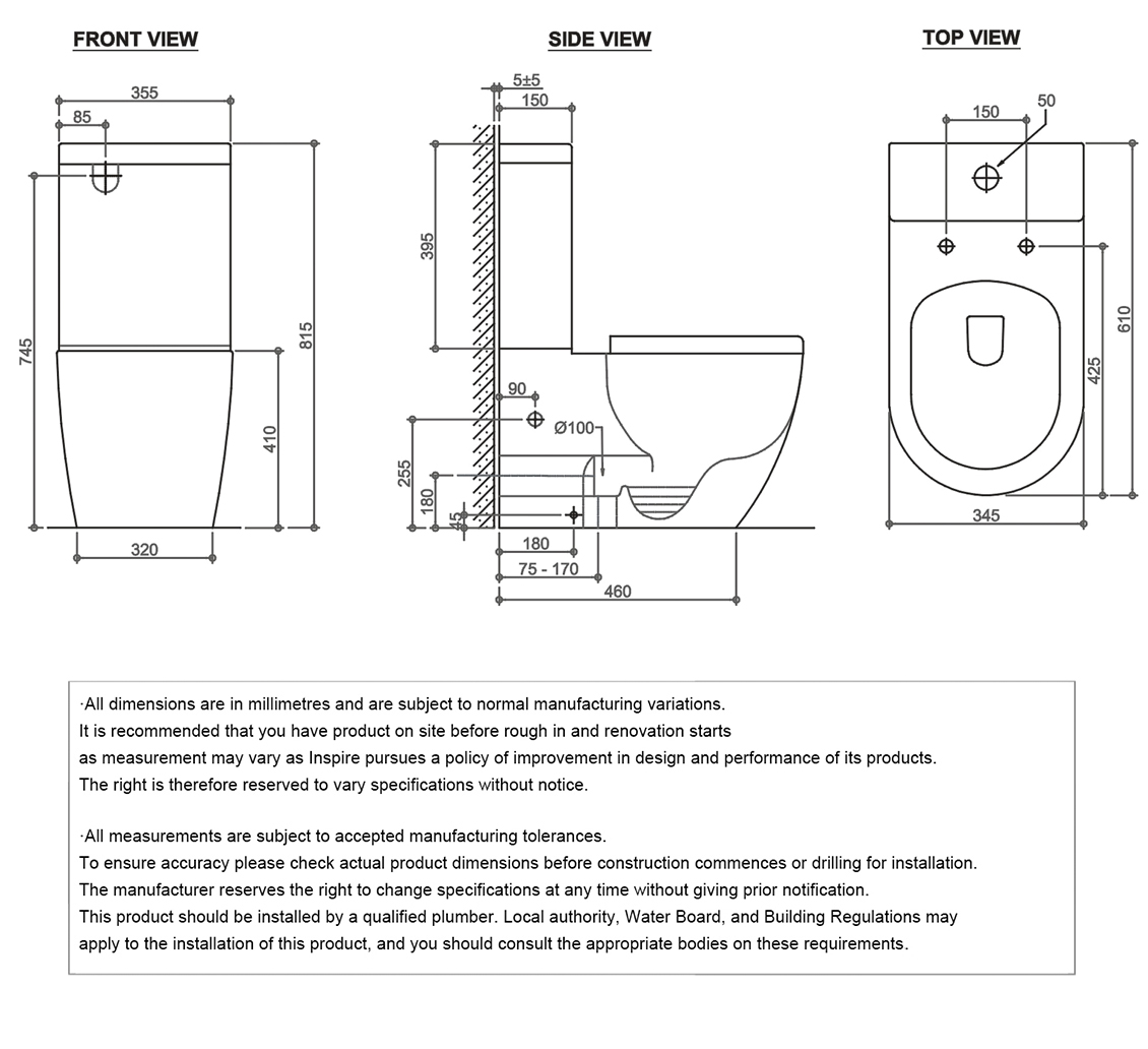 Deluso Back to Wall Rimless Toilet