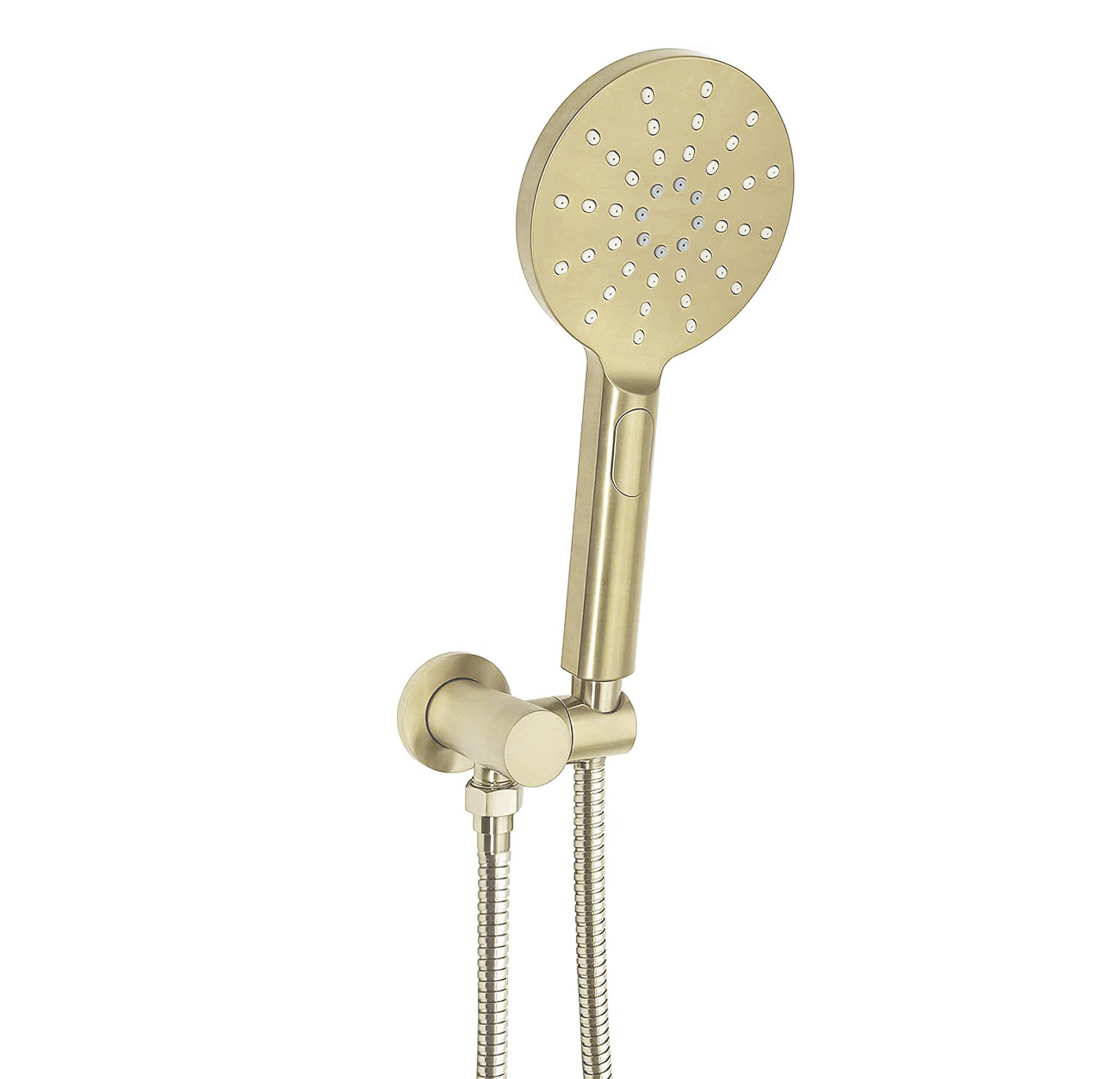 Pavia Brushed Gold Handheld Shower Set Round
